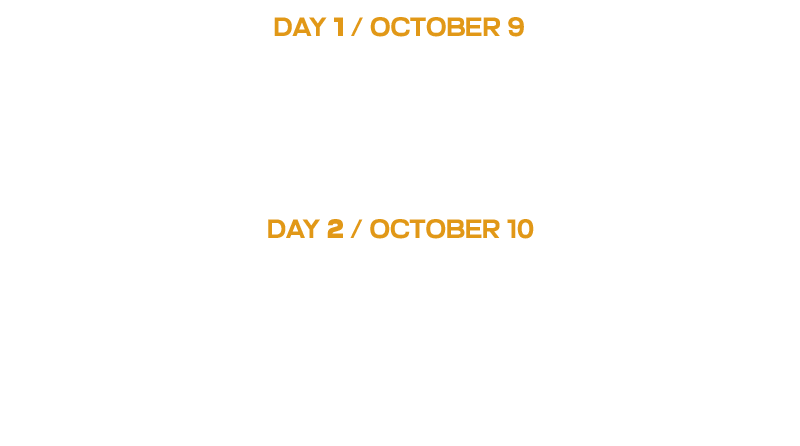 Starlight Festival Lineup