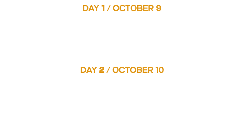 Starlight Festival Lineup