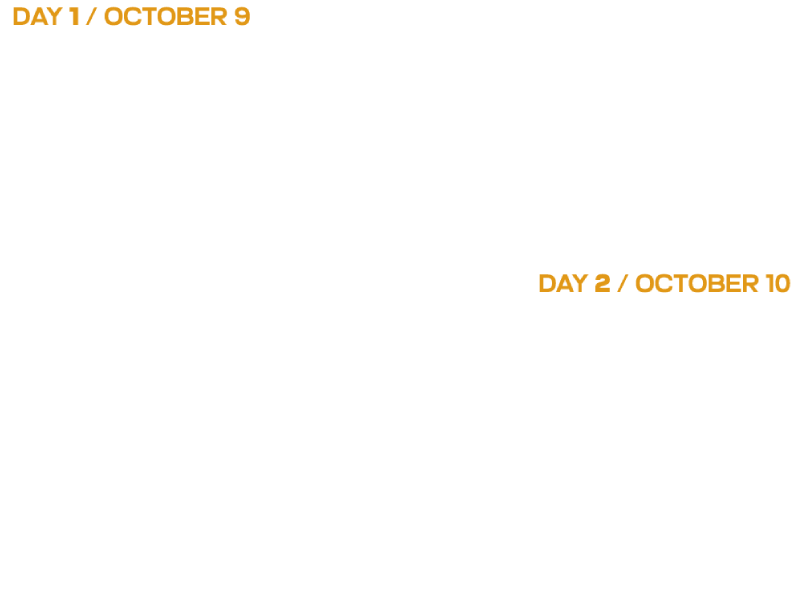 starlight lineup